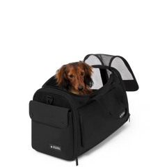 Travel Accessories Pet Carrier Bag
